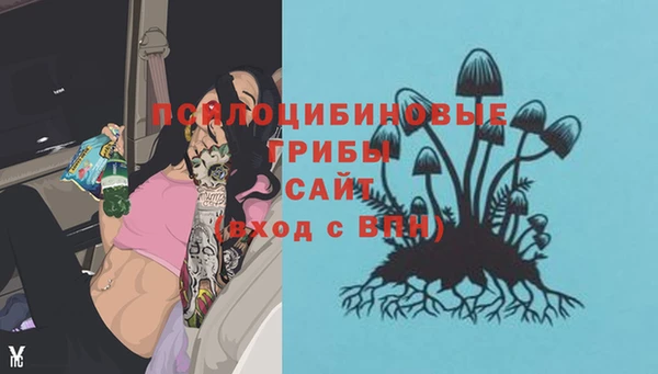 мяу мяу кристалл Арсеньев