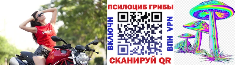 Купить где  Уяр  Псилоцибиновые грибы мухоморы 